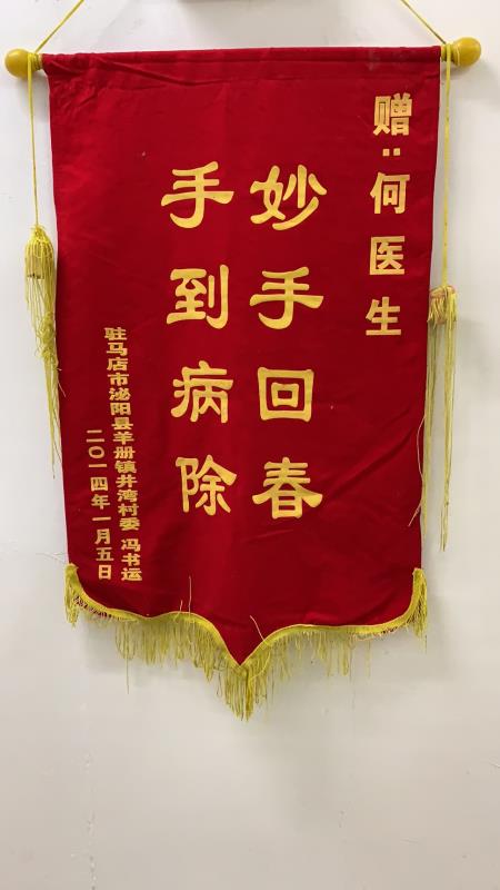 驻马店市泌阳县羊册镇井湾村委 冯书运赠锦旗